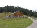 Zanser Alm 2012